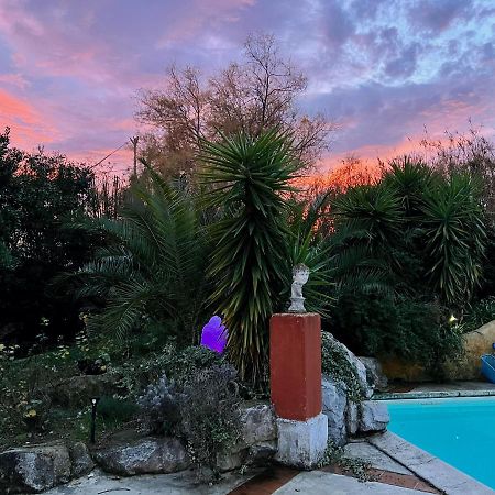 Le Clos De L'Isle Arles Eksteriør bilde
