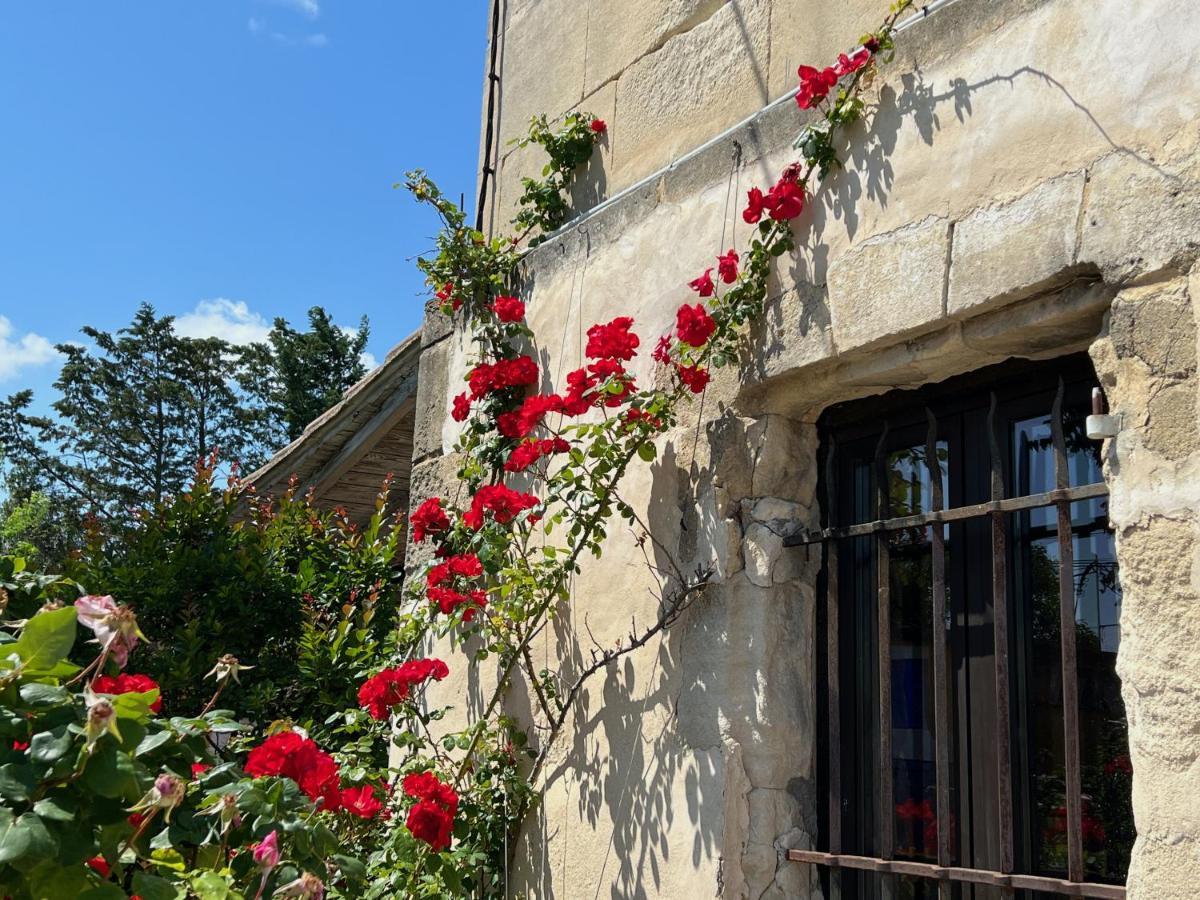 Le Clos De L'Isle Arles Eksteriør bilde